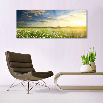 Plexiglas® Wall Art Meadow flowers landscape green white