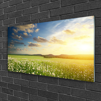 Plexiglas® Wall Art Meadow flowers landscape green white