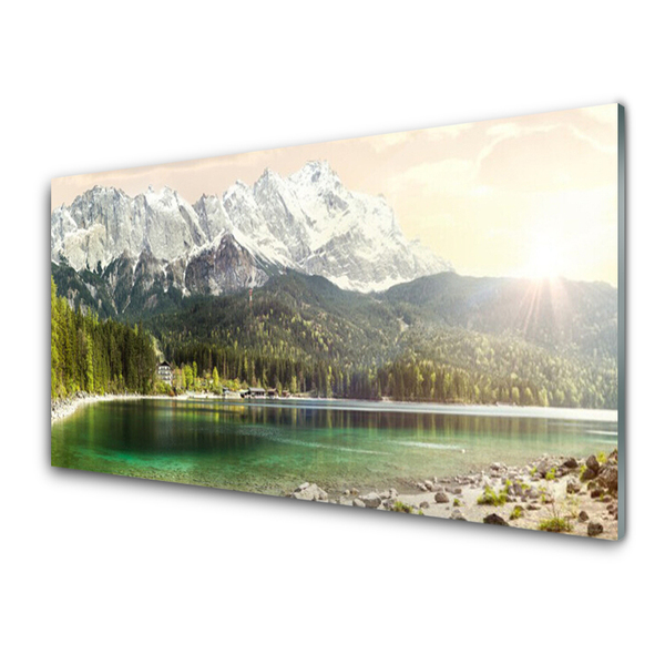 Plexiglas® Wall Art Mountain forest lake landscape white grey green