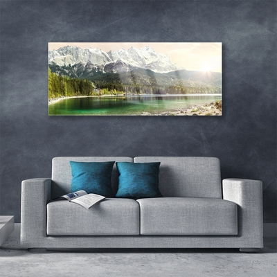 Plexiglas® Wall Art Mountain forest lake landscape white grey green