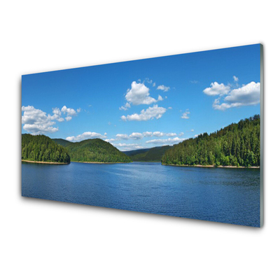 Plexiglas® Wall Art Lake forest landscape green blue