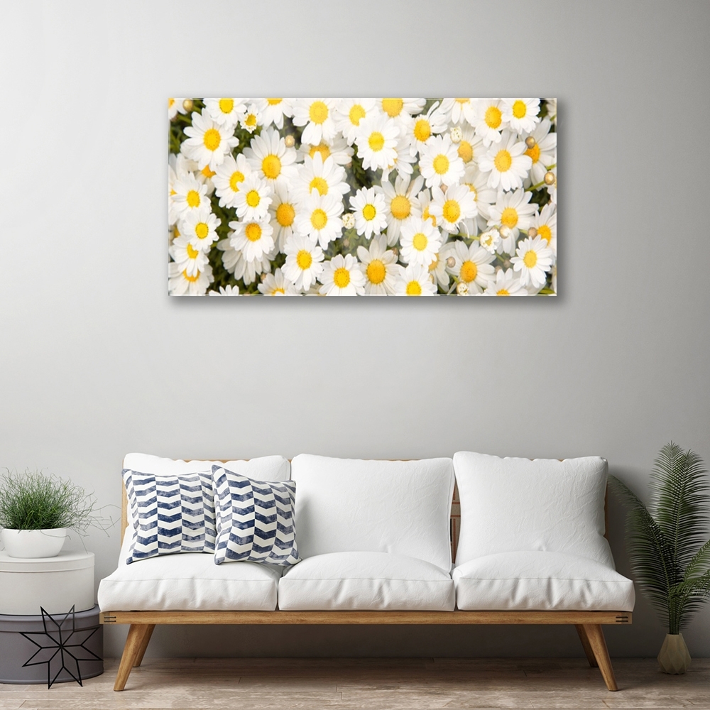 White Daisies 8x10 Art Print - Charming Floral Wall Decor » Pip & Cricket