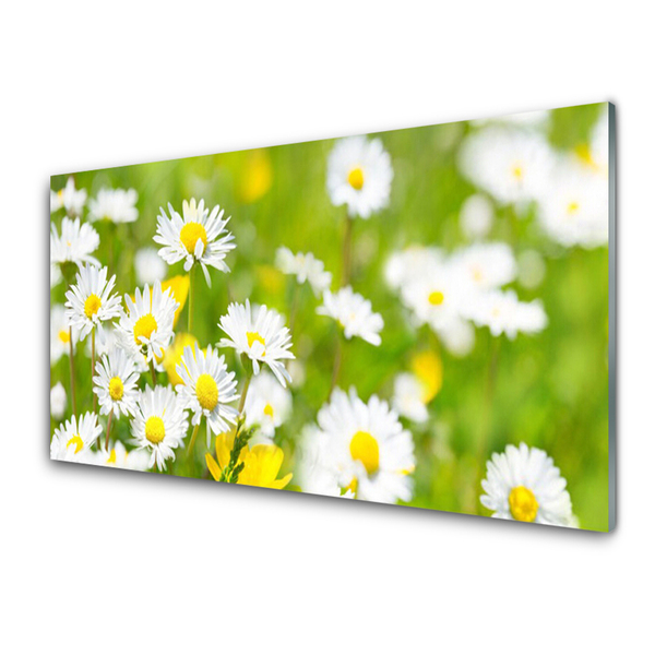 Plexiglas® Wall Art Daisy floral yellow white