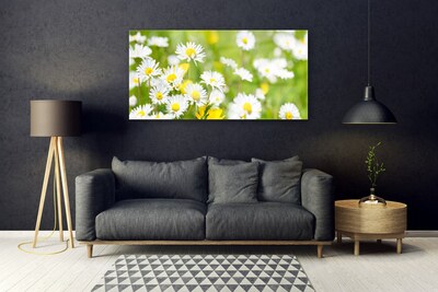 Plexiglas® Wall Art Daisy floral yellow white