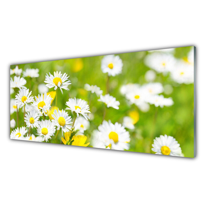 Plexiglas® Wall Art Daisy floral yellow white