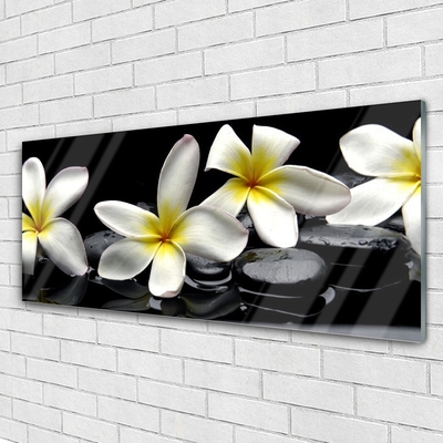 Plexiglas® Wall Art Flower stones floral green white black