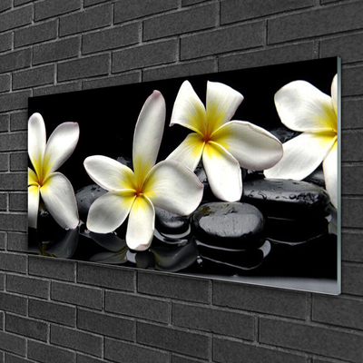 Plexiglas® Wall Art Flower stones floral green white black