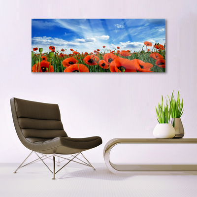 Plexiglas® Wall Art Meadow poppies floral green red