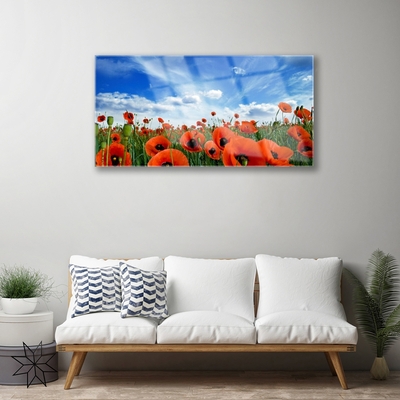 Plexiglas® Wall Art Meadow poppies floral green red