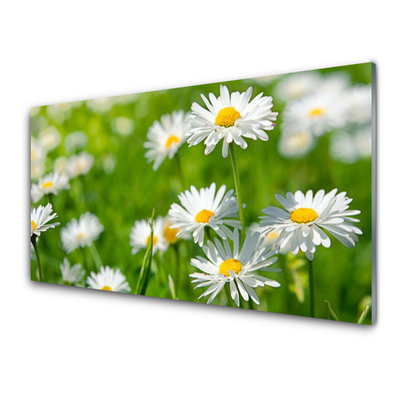 Plexiglas® Wall Art Daisy floral yellow white