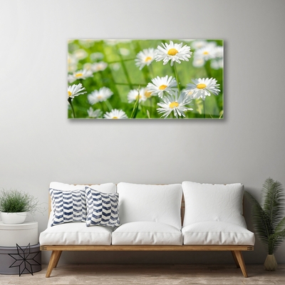 Plexiglas® Wall Art Daisy floral yellow white