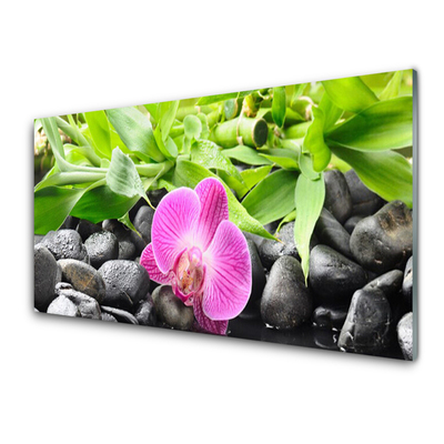 Plexiglas® Wall Art Flower leaves stones art pink green black