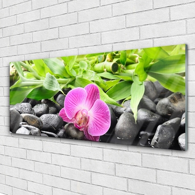 Plexiglas® Wall Art Flower leaves stones art pink green black