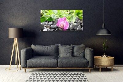 Plexiglas® Wall Art Flower leaves stones art pink green black