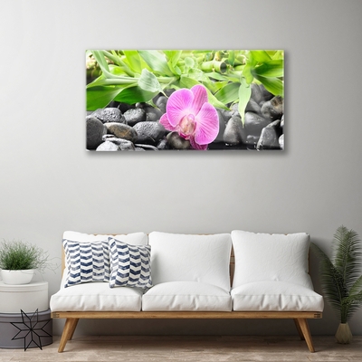 Plexiglas® Wall Art Flower leaves stones art pink green black