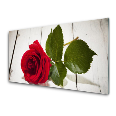 Plexiglas® Wall Art Rose floral red