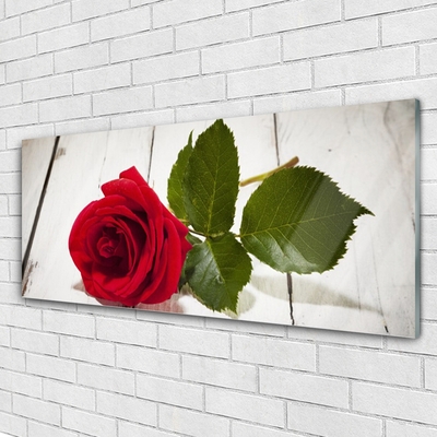 Plexiglas® Wall Art Rose floral red