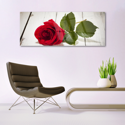 Plexiglas® Wall Art Rose floral red