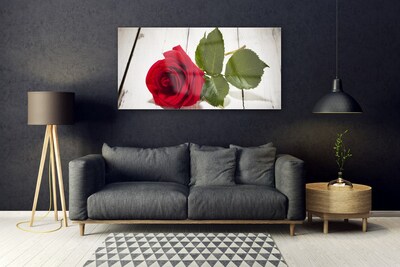 Plexiglas® Wall Art Rose floral red