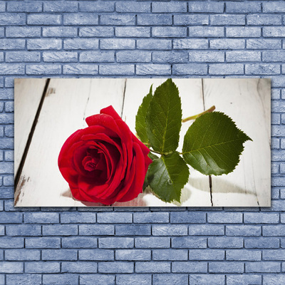 Plexiglas® Wall Art Rose floral red