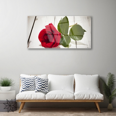 Plexiglas® Wall Art Rose floral red