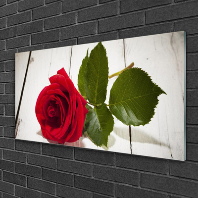 Plexiglas® Wall Art Rose floral red