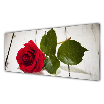 Plexiglas® Wall Art Rose floral red