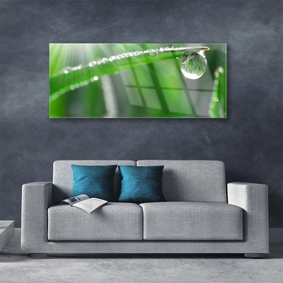 Plexiglas® Wall Art Grass dew drops floral green