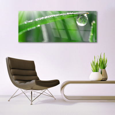 Plexiglas® Wall Art Grass dew drops floral green