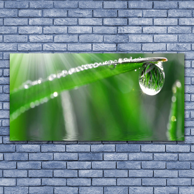 Plexiglas® Wall Art Grass dew drops floral green