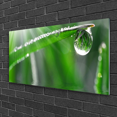 Plexiglas® Wall Art Grass dew drops floral green