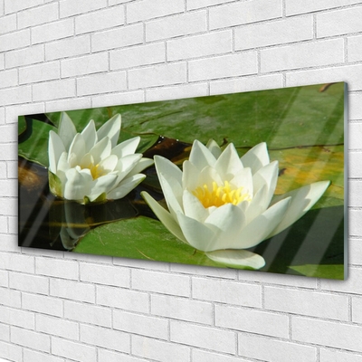 Plexiglas® Wall Art Flowers floral yellow white