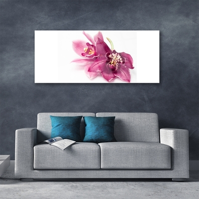 Plexiglas® Wall Art Flowers floral red