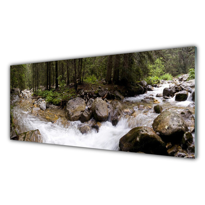 Plexiglas® Wall Art Forest brook stones nature brown green white grey