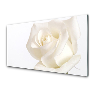 Plexiglas® Wall Art Rose floral white