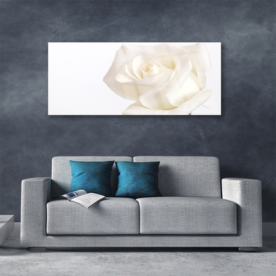 Plexiglas® Wall Art Rose floral white