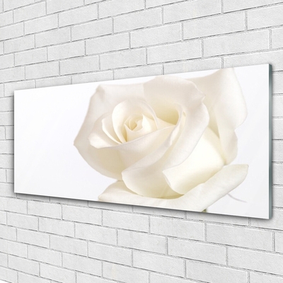 Plexiglas® Wall Art Rose floral white