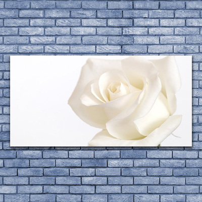 Plexiglas® Wall Art Rose floral white