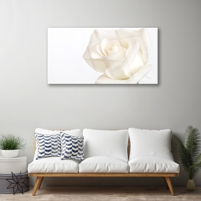 Plexiglas® Wall Art Rose floral white