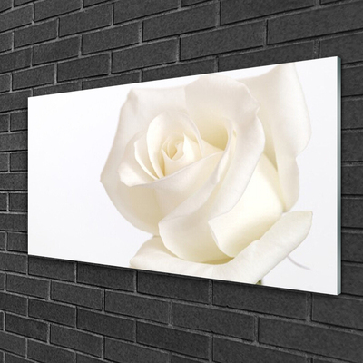 Plexiglas® Wall Art Rose floral white