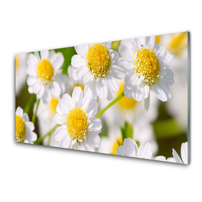 Plexiglas® Wall Art Daisy floral yellow white