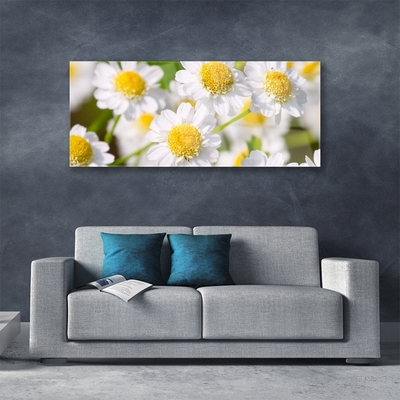 Plexiglas® Wall Art Daisy floral yellow white