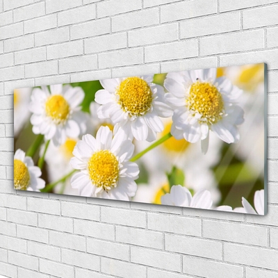 Plexiglas® Wall Art Daisy floral yellow white