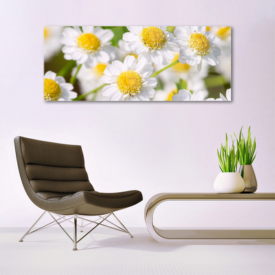 Plexiglas® Wall Art Daisy floral yellow white