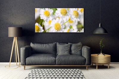 Plexiglas® Wall Art Daisy floral yellow white