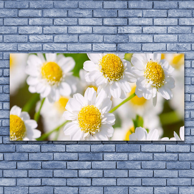 Plexiglas® Wall Art Daisy floral yellow white