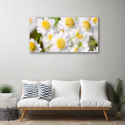 Plexiglas® Wall Art Daisy floral yellow white