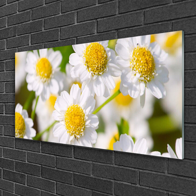 Plexiglas® Wall Art Daisy floral yellow white