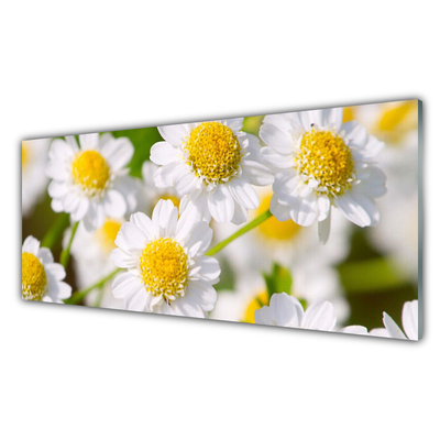 Plexiglas® Wall Art Daisy floral yellow white