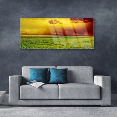 Plexiglas® Wall Art Field landscape green